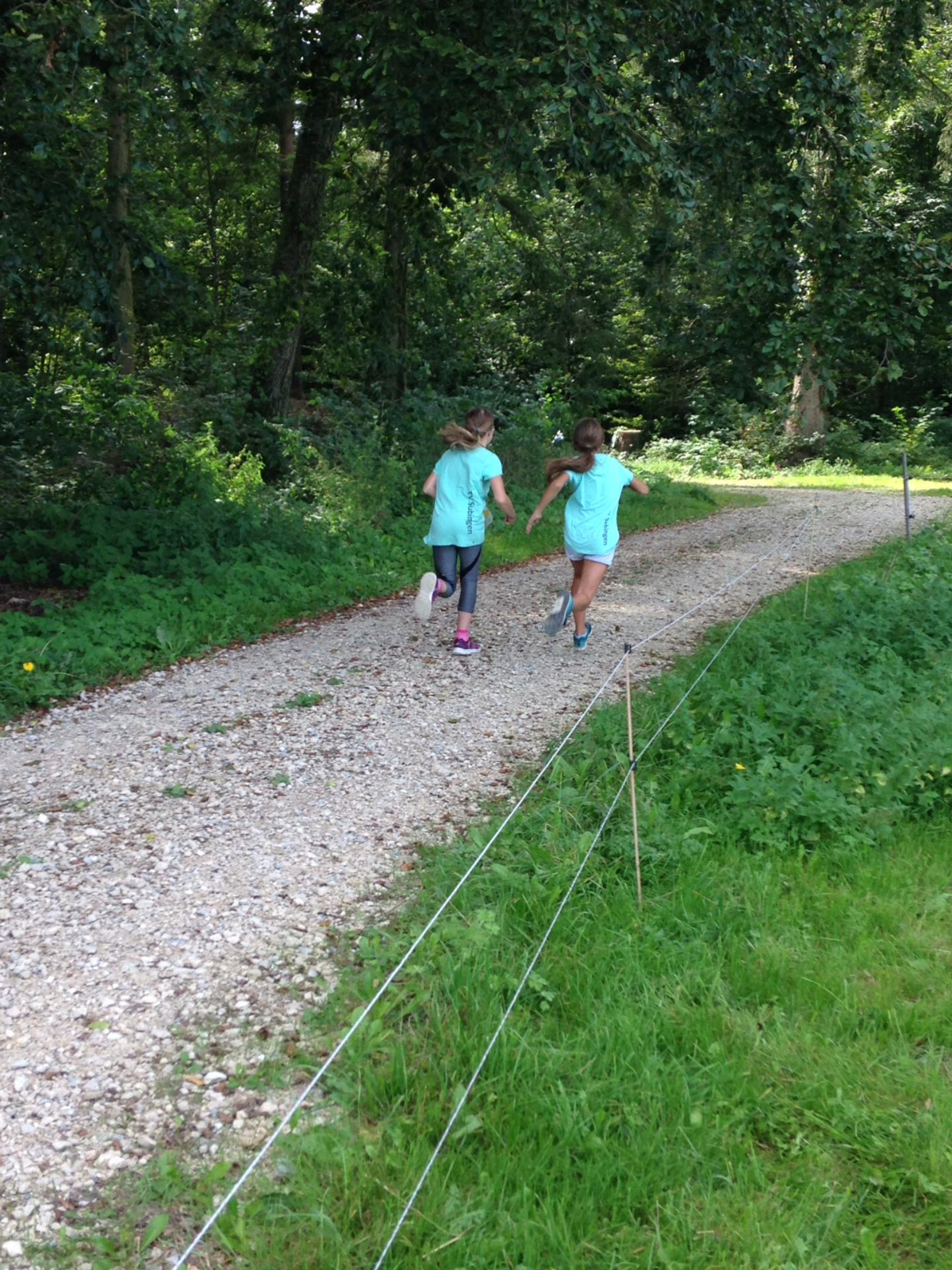 Bild (48)